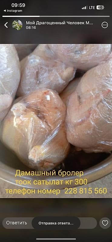 Дом и сад: ТООК ЭТТИ САТЫЛАТ бройлер ТАЛАС шаарында — 2