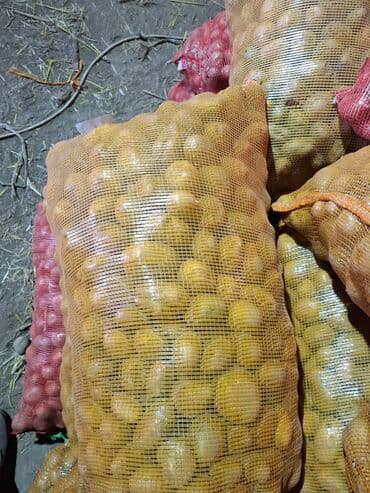 рыба фарел: Картошка — 1