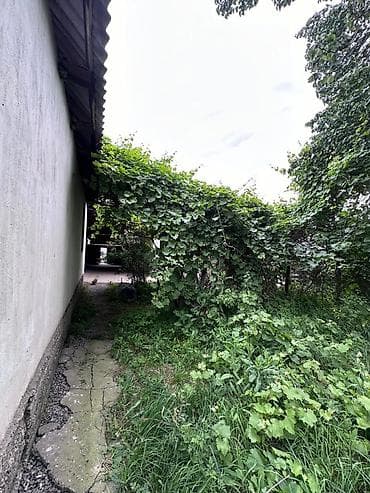 group: 12 соток, Красная книга, Тех паспорт, Договор купли-продажи — 2