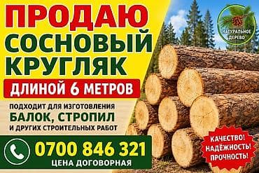 Сосновый кругляк, длина 6 метров. Натуральное дерево. Подходит для
