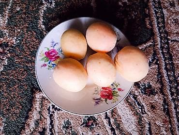 Абрикосы: Продаю Каролевский 🍊 Сочный и сладкий, АБРИКОС размер как яица,Я сама — 10