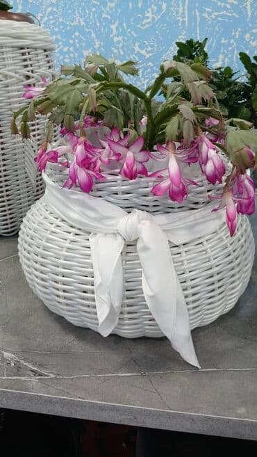 Садовые инструменты и инвентарь: Изделия из ротанга.Принимаем заказы звонить на номер — 8