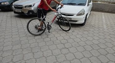 fixed gear купить бу: Городской велосипед, Giant, Рама L (172 - 185 см), Б/у — 4