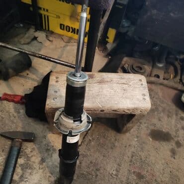 elysion: Без выезда — 4