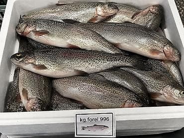 Продукты питания: Форель радужная, охлаждённая, неразделанная (целая рыба в ящике). На — 1