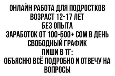 Сетевой маркетинг: Онлайн-подработка для подростков (Кыргызстан) - Возраст: 12–17 лет - — 4