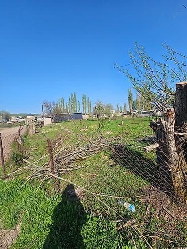 продажа земли сельскохозяйственного назначения: 6 соток, Для бизнеса, Красная книга — 5