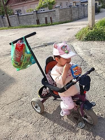 трехкалесный велосипед: Детский велосипед, 3-колесный, 1 - 3 года, Для девочки, Б/у — 1