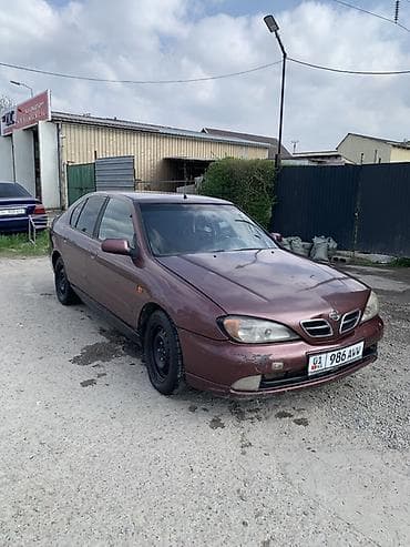 Nissan Primera: 2001 г., Седан