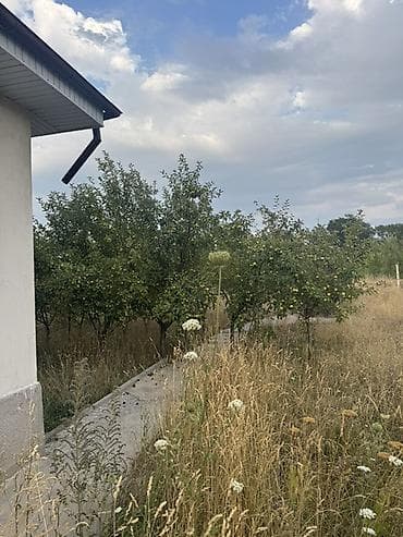 Недвижимость: Продаётся одноэтажный дом с участком в селе Кок-Джар (улица Чокморова) — 5