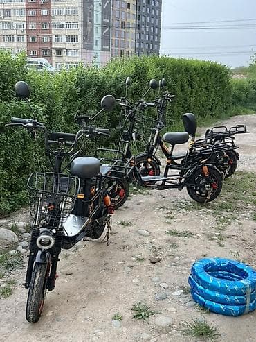 электро монстр: Аренда электровелосипедов — 500 сом. Электровелосипед DRONGO: - — 7