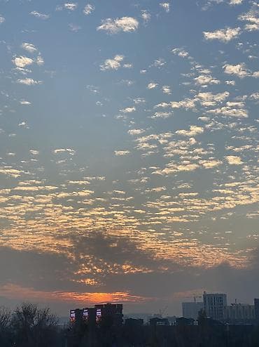 Уборщик - Старше 40 лет, 3-5 лет опыта, Полный рабочий день