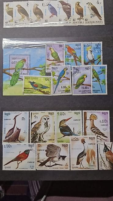 Көркөм өнөр жана коллекциялоо: Коллекция почтовых марок с орнитологической и микологической — 4