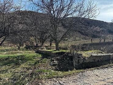 ысык куле: 5 соток, Курулуш, Кызыл китеп — 3