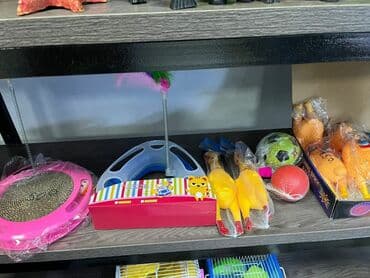 акустические системы vava колонка в виде собак: Корма, лотки, игрушки, клетки для кошек, собак, попугаев, хомячков и — 9