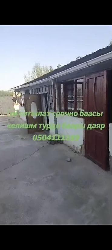 di store: Номер берсенер видео жонотом — 4