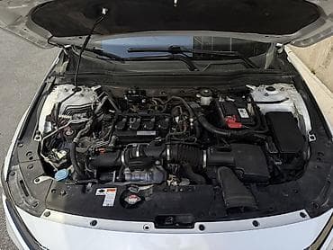 accord x: Honda Accord: 2020 г., 1.5 л, Автомат, Бензин, Седан — 6