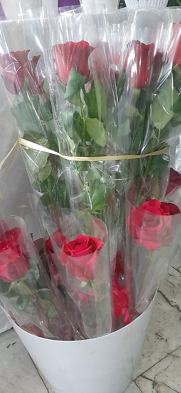 купить фиалки недорого: Выстака-ярмарка цветов, приходите за подарками для милых дам!!! — 4