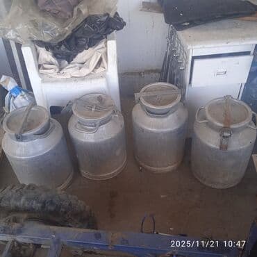 щетка для уборки: Алюминиевые молочные фляги с крышками-зажимами - Количество: 4 шт. - — 6