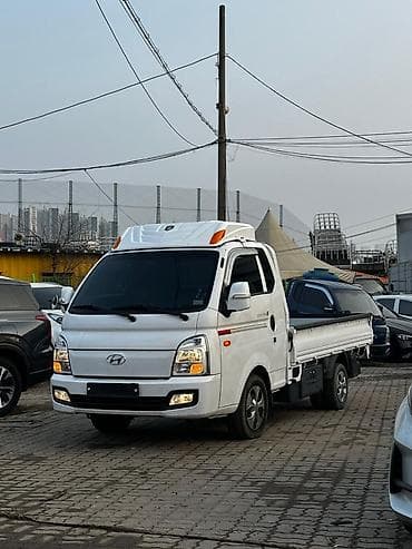 пол сикес: Жеңил жүк ташуучу унаа, Hyundai, Стандарт, 3 т, Жаңы — 4