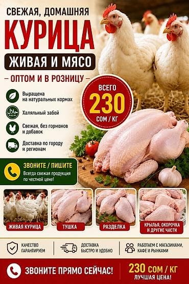Предлагается свежая домашняя курица, доступная как в живом виде, так и