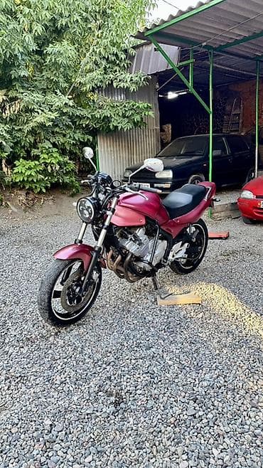 требуется вложения: Классический мотоцикл Yamaha, 600 куб. см, Бензин, Взрослый, Б/у — 1