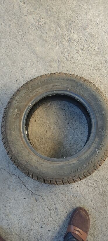 купить шины r15: Продам зимнюю шину.в отличном состоянии.205.65.15 одиночка — 2
