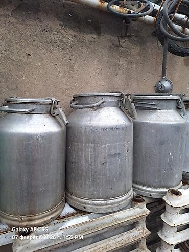 цепочка змейка: Фляги 40л.3800с. 20л 2500с. кега 4500с. балон — 1