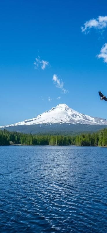 Постер/фотопринт «Горное озеро и заснеженная вершина» - Вертикальная
