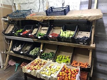 Фрукты: Даяр бизнес сатылат овощи фрукты аренда жанында магазин продуктовый — 1