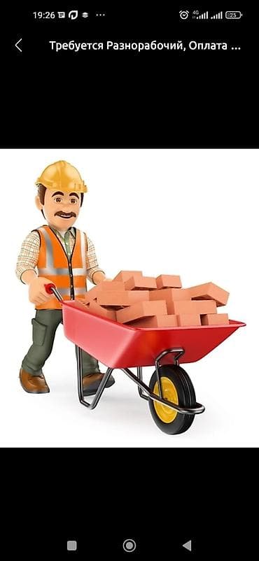 Билим берүү тармагы: Разнорабочий. Короо,огород тазалайм. Траншея,септик казам. Мусор — 1