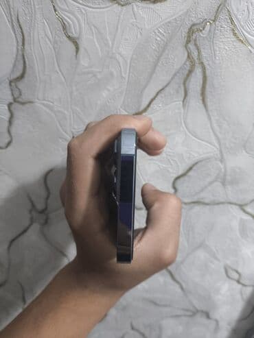 каракол телефон айфон: IPhone 13 Pro, Колдонулган, 128 ГБ, Көк, Каптама, 87 % — 4