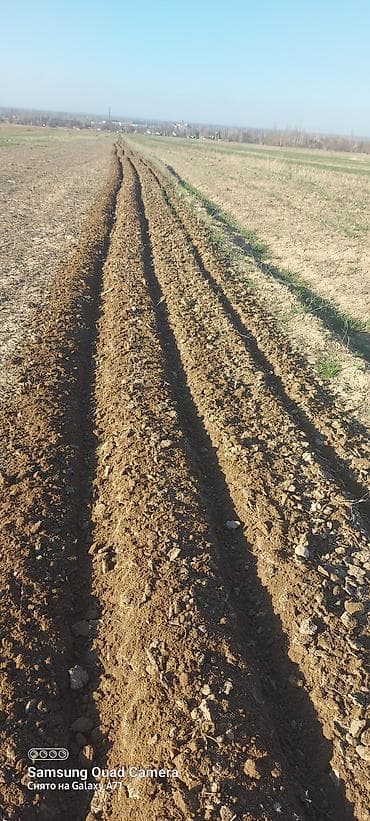 реклама чолпон ата: Услуги мини трактора фреза, кун.
 село Сокулук — 4