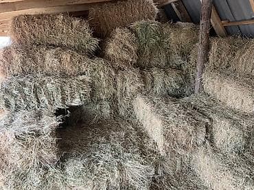 соль оптом: Сено в тюках. - Тип: луговое сено, спрессованное в прямоугольные — 1