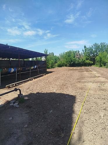 Фермерский двор/подворье с хозяйственными постройками и открытыми
