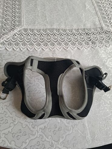 прогулочный шар для сирийского хомяка купить: Шлейка для собак и кошек. привезли из Норвегии, качество супер!!! — 3