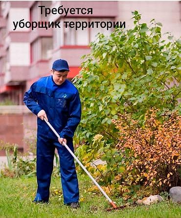 Работа: Требуется уборщик территории официальное трудоустройство, в — 1