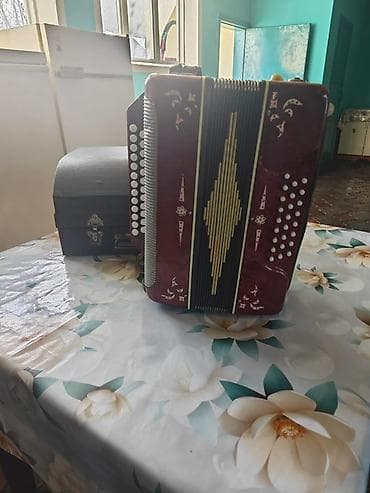 колка: Баян двухрядный (кнопочный аккордеон) - Корпус бордового цвета с — 3