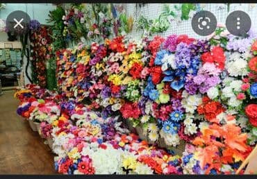 цветы домашнии: Организация мероприятий | Букеты, флористика — 1