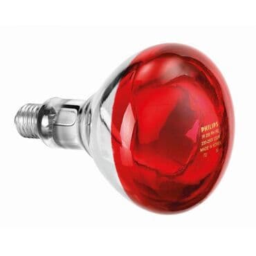 купить инкубационное яйцо породистых кур: Лампа инфракрасная 150 W 200-220 сом W 250W -220 сом . Для обогрева — 2