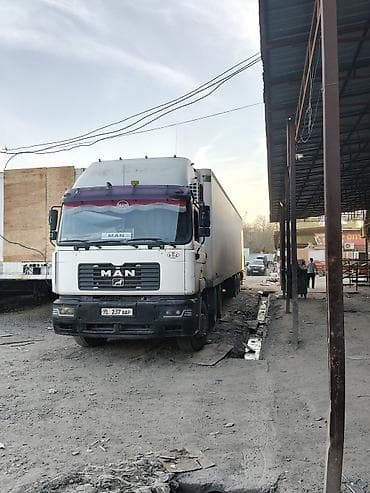 mazda 2000: Тягач, MAN, 2000 г., Холодильник, рефрижератор — 3