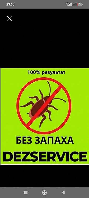 doolot kurulush: Дезинфекция, дезинсекция, | Муравьи, Тараканы, Вирусы, микробы, | Квартиры, Подвал, погреб, Офисы — 2