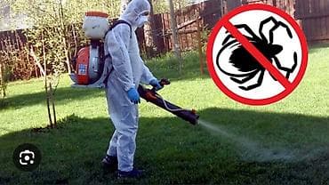 дезинфекция от тараканов бишкек: Дезинфекция, дезинсекция, | Клопы, Блохи, Тараканы, | Транспорт, Офисы, Квартиры — 3