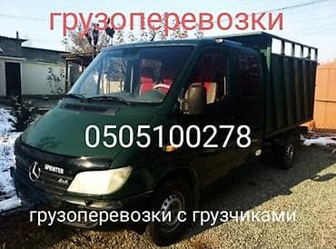 sprinter 2 9: Легкий грузовик, Mercedes-Benz, Дубль — 1