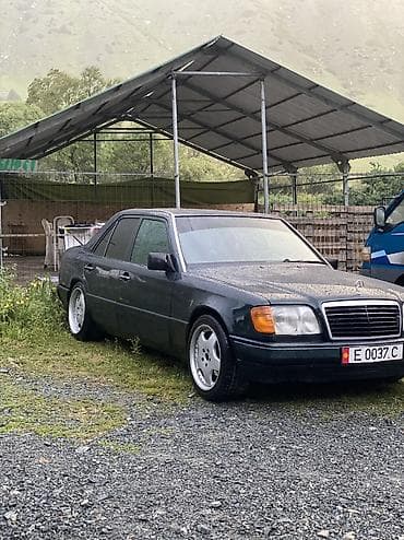 Mercedes-Benz W124: 1995 г., 2.2 л, Механика, Бензин, Седан