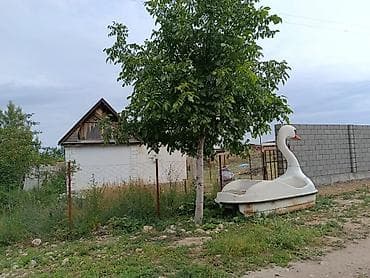 Дома: Уй сатылат. Ысык Колдо Чон Сары Ой айылынан. Пансионат Алтын — 5