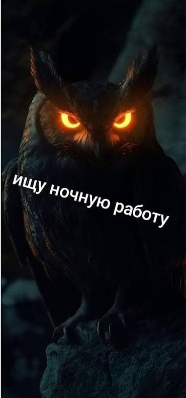 Работа: Здравствуйте срочно ищу ночную подработку Русский Парень 26 лет !!! — 1