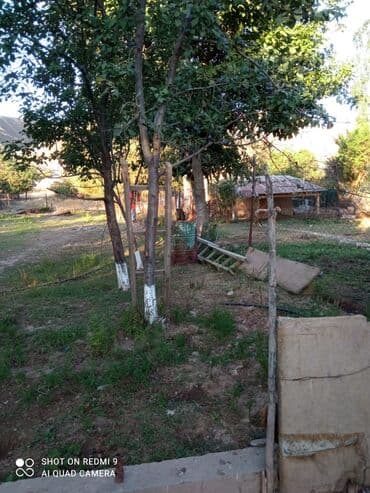 продажа домов чолпон ата: 5 соток, Для сельского хозяйства, Красная книга, Тех паспорт — 5