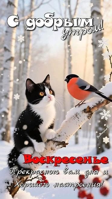 здаю пол дома: 35 м², 2 комнаты, Утепленный, Парковка, Забор, огорожен — 1