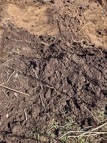 черный земля: Бесплатная доставка — 1